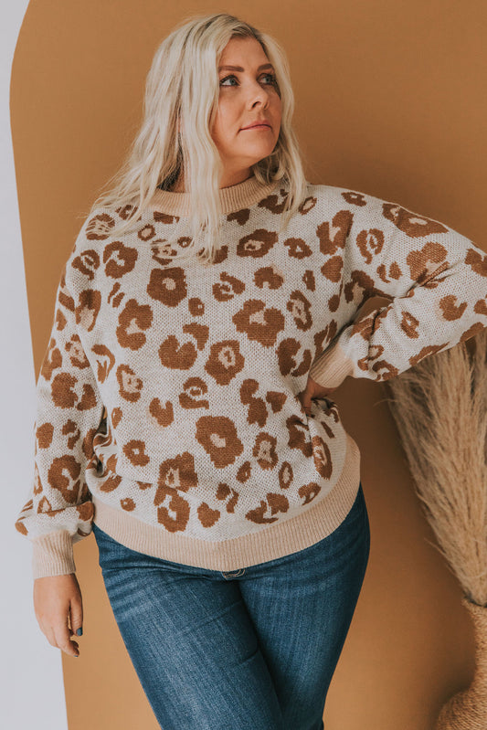 Ribbed Hem Sweater, Leopard